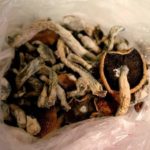 buy magic mushrooms online uk