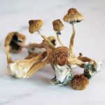 buy magic mushrooms in the uk, where to buy magic shrooms uk