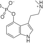psilocybin mushroom chemical sturcture