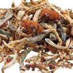 where to find or buy dried magic mushrooms uk