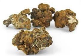 how to microdose magic truffles, buy magic truffles
