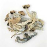 buy dried amazonian magic psilocybin mushrooms in uk, buy psychedelic magic mushrooms uk