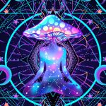 buy psychedelic mushroom uk, certified psychedelic vendors uk