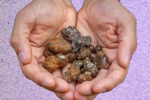 magic truffles for sale uk