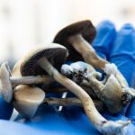psilocybin legal status uk