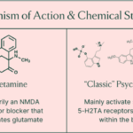 psilocybin vs ketamine